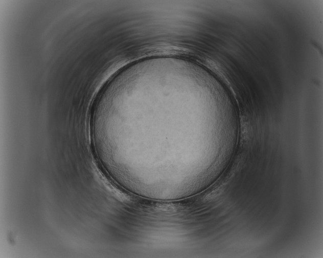 X0000101210843200807181416