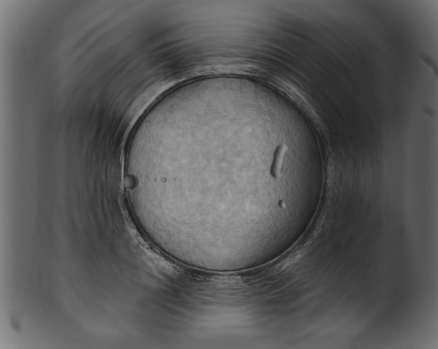 X0000101210844200807181416