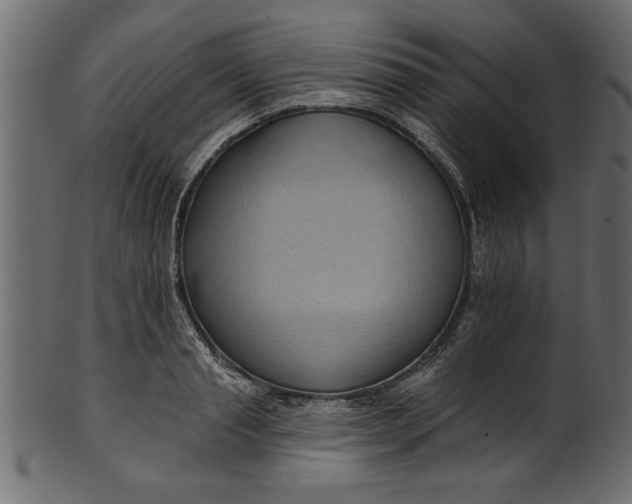 X0000101210845200807181416