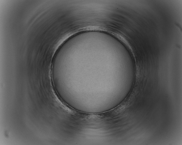 X0000101210847200807181416