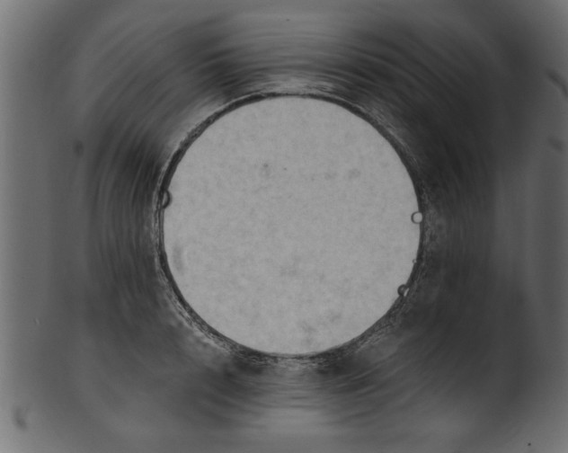 X0000101210848200807181416