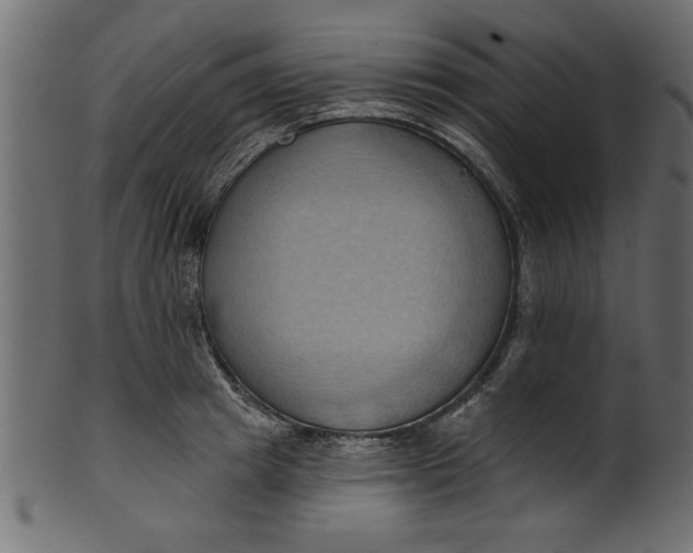 X0000101210849200807181416