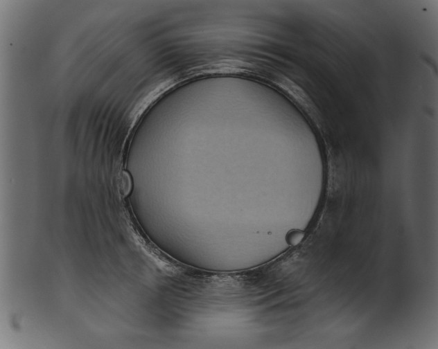 X0000101210850200807181416