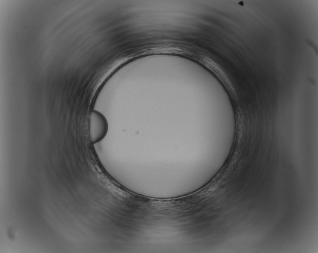 X0000101210852200807181416