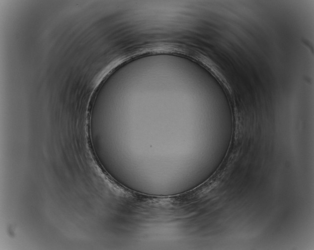 X0000101210853200807181416