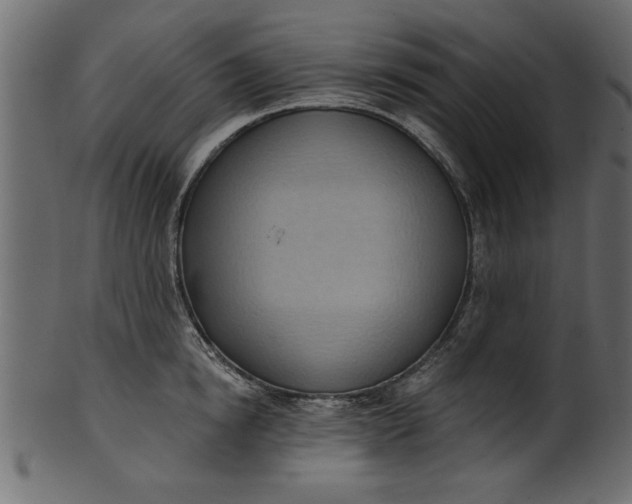 X0000101210854200807181416