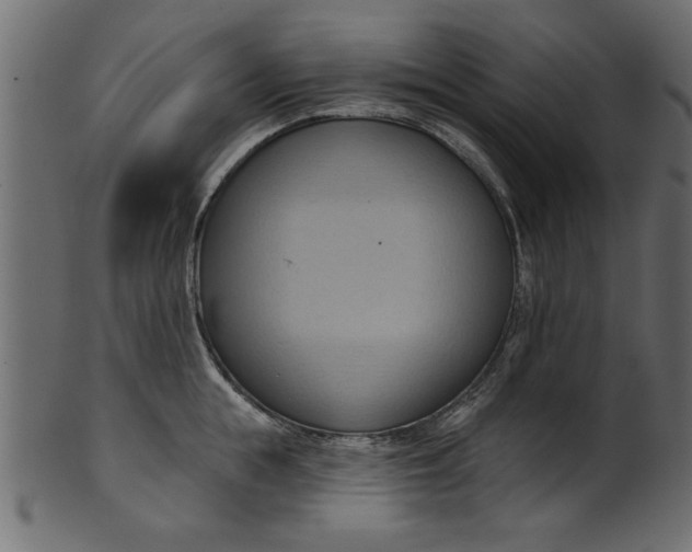 X0000101210855200807181416