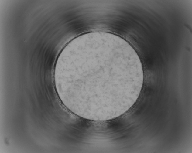 X0000101210856200807181416