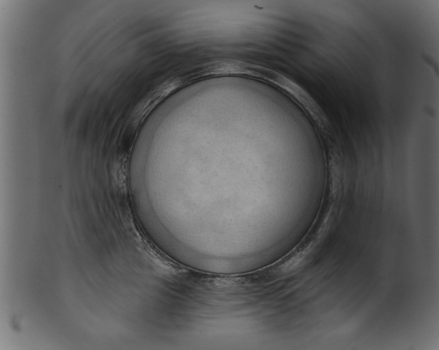 X0000101210857200807181416