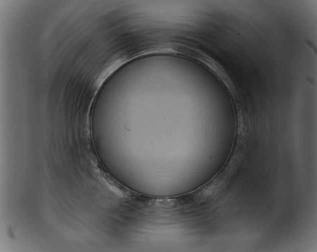 X0000101210858200807181416