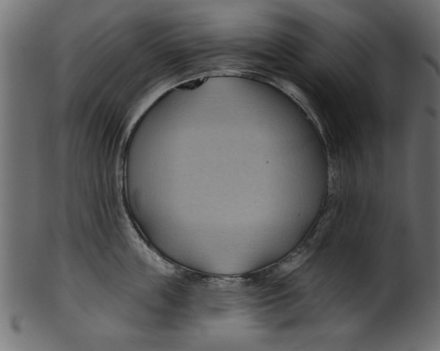 X0000101210859200807181416