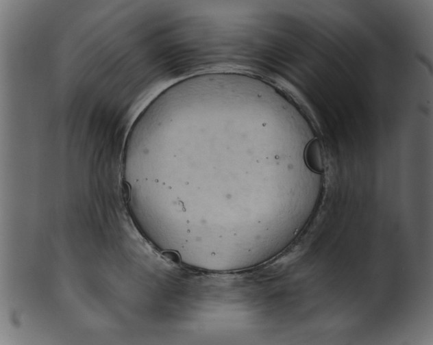 X0000101210860200807181416