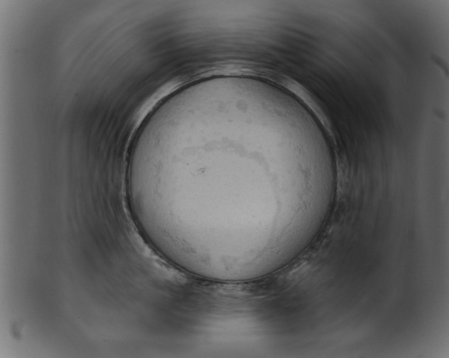 X0000101210861200807181416