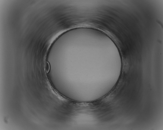 X0000101210862200807181416