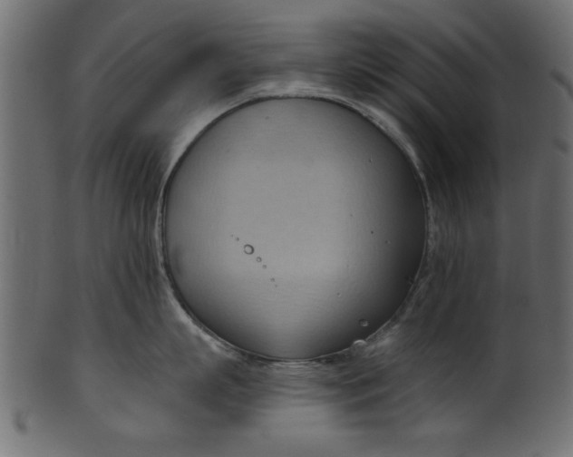 X0000101210863200807181416