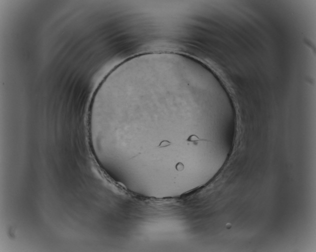 X0000101210864200807181416