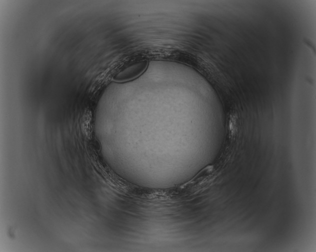 X0000101210867200807181416