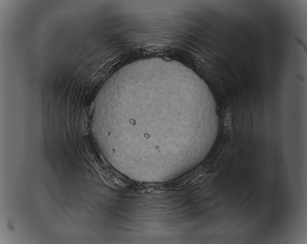 X0000101210868200807181416