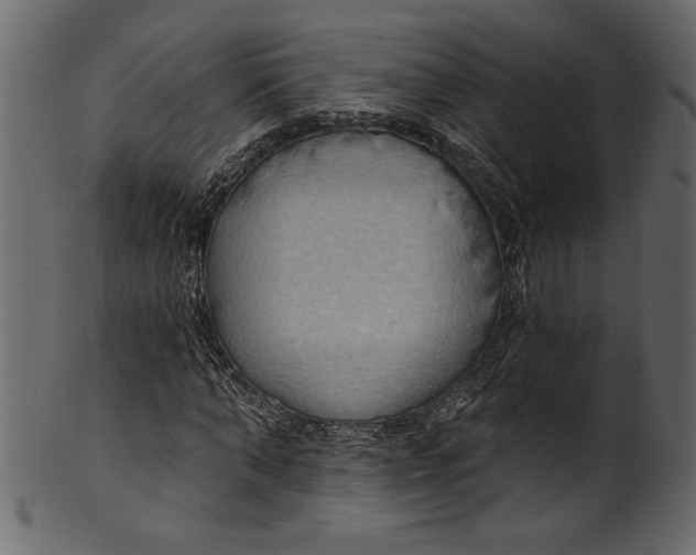 X0000101210870200807181416