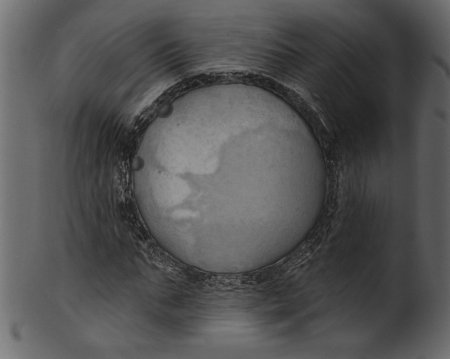 X0000101210871200807181416