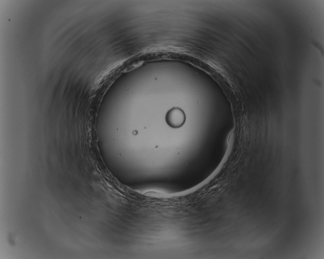 X0000101210872200807181416