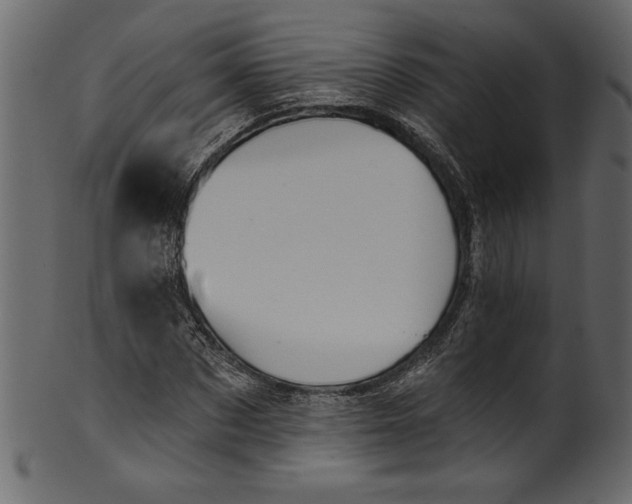 X0000101210873200807181416