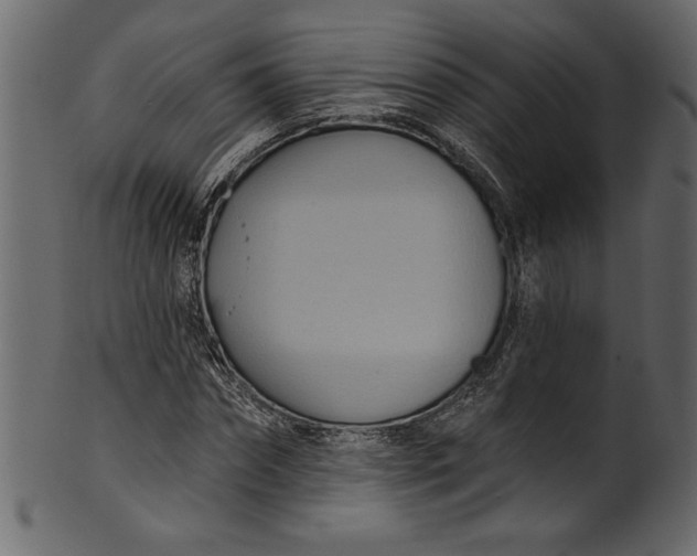 X0000101210874200807181416