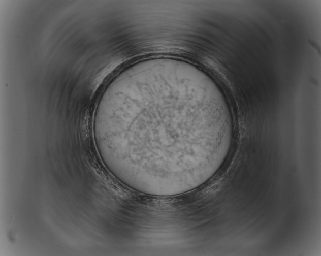 X0000101210875200807181416