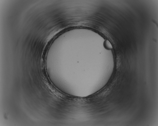 X0000101210876200807181416