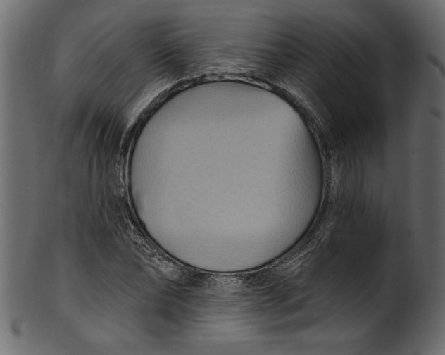 X0000101210878200807181416