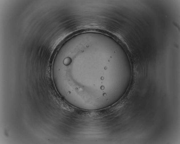 X0000101210879200807181416