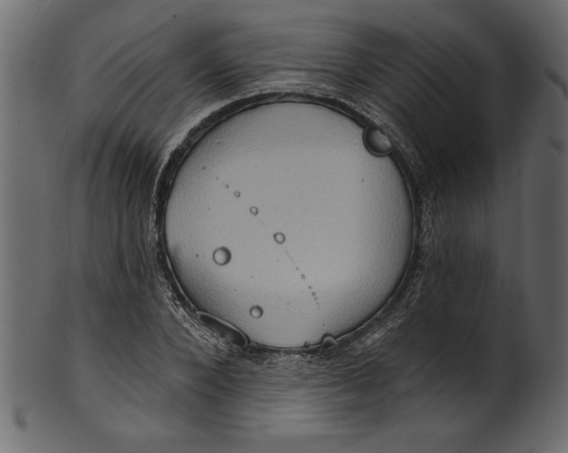 X0000101210880200807181416