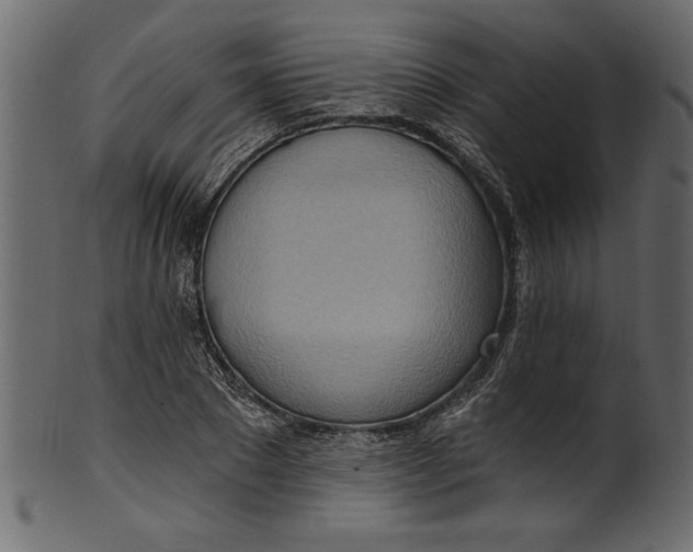 X0000101210881200807181416