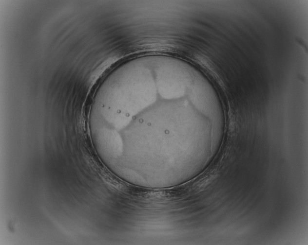 X0000101210883200807181416