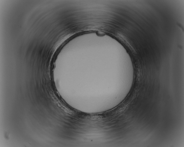 X0000101210884200807181416