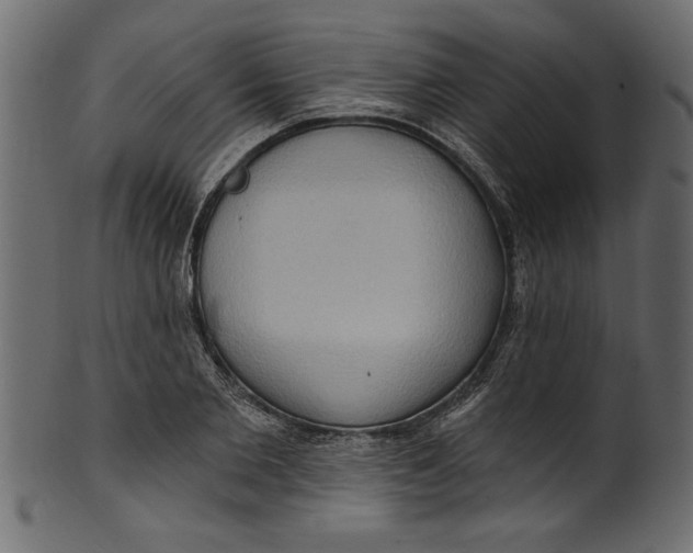 X0000101210885200807181416