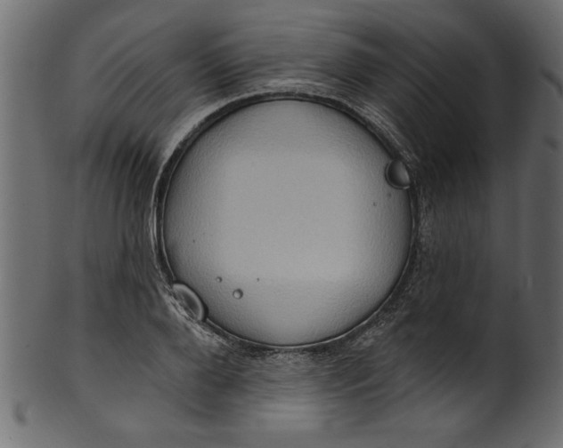 X0000101210888200807181415