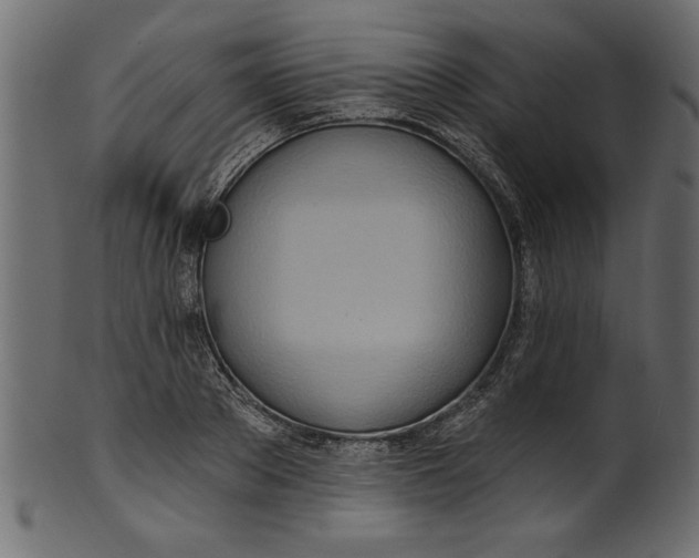 X0000101210889200807181415