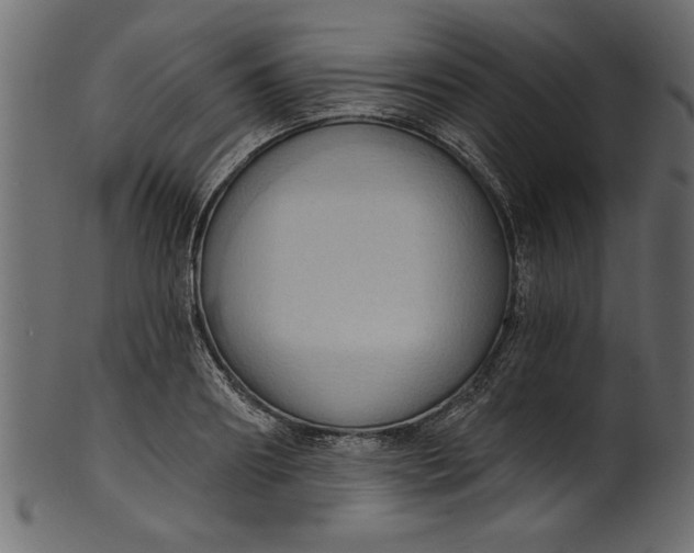 X0000101210890200807181415