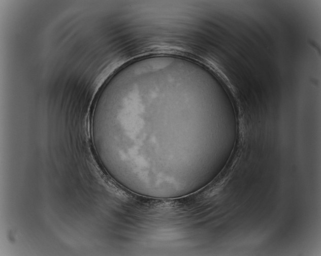 X0000101210891200807181415