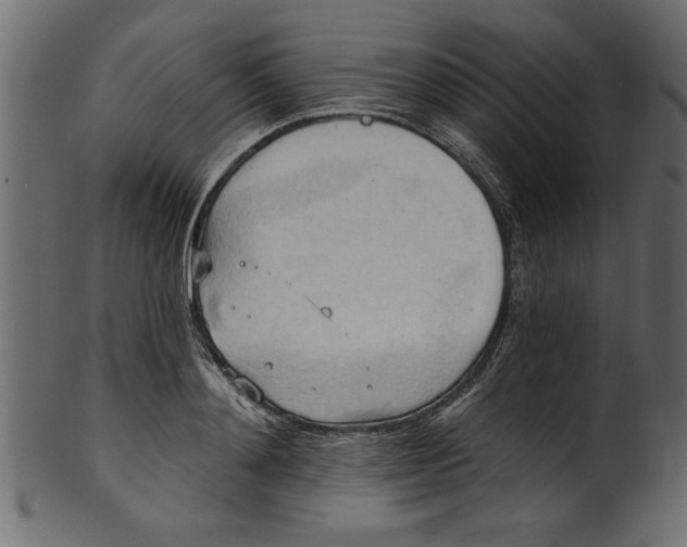 X0000101210892200807181415