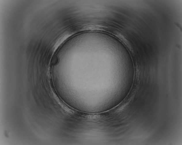 X0000101210893200807181415