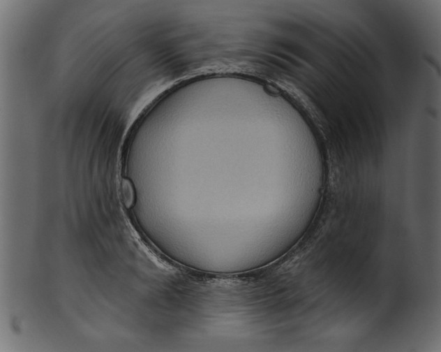 X0000101210894200807181415