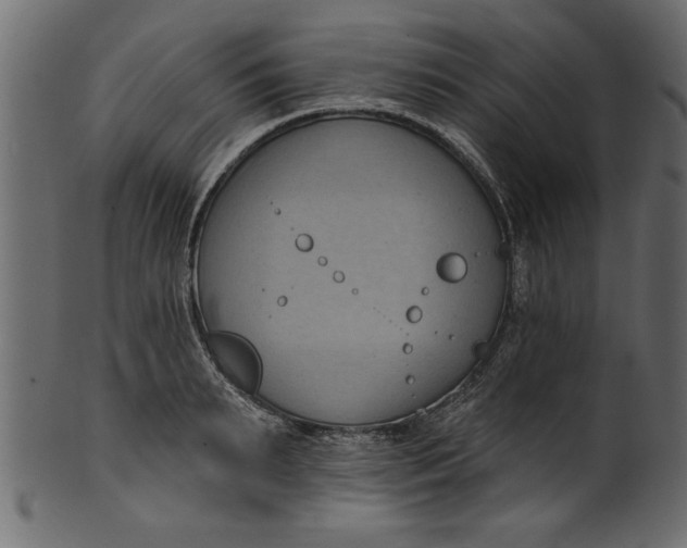 X0000101210895200807181415