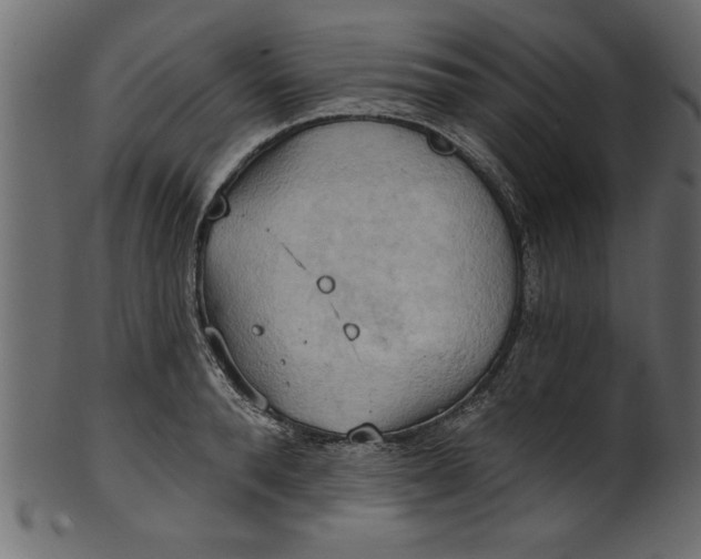 X0000101210896200807181415