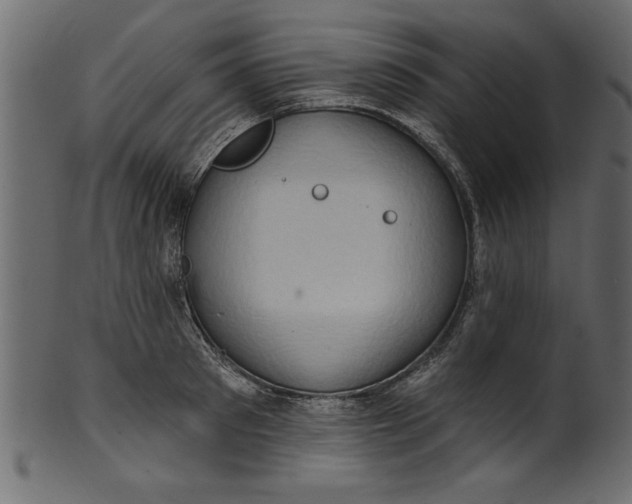 X0000101210897200807181415