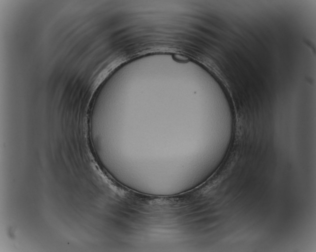 X0000101210898200807181415