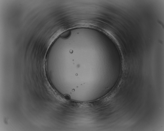 X0000101210899200807181415