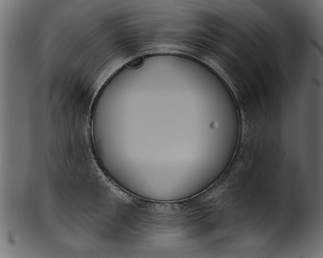 X0000101210901200807181415