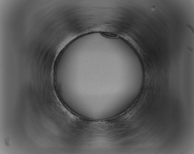 X0000101210902200807181415